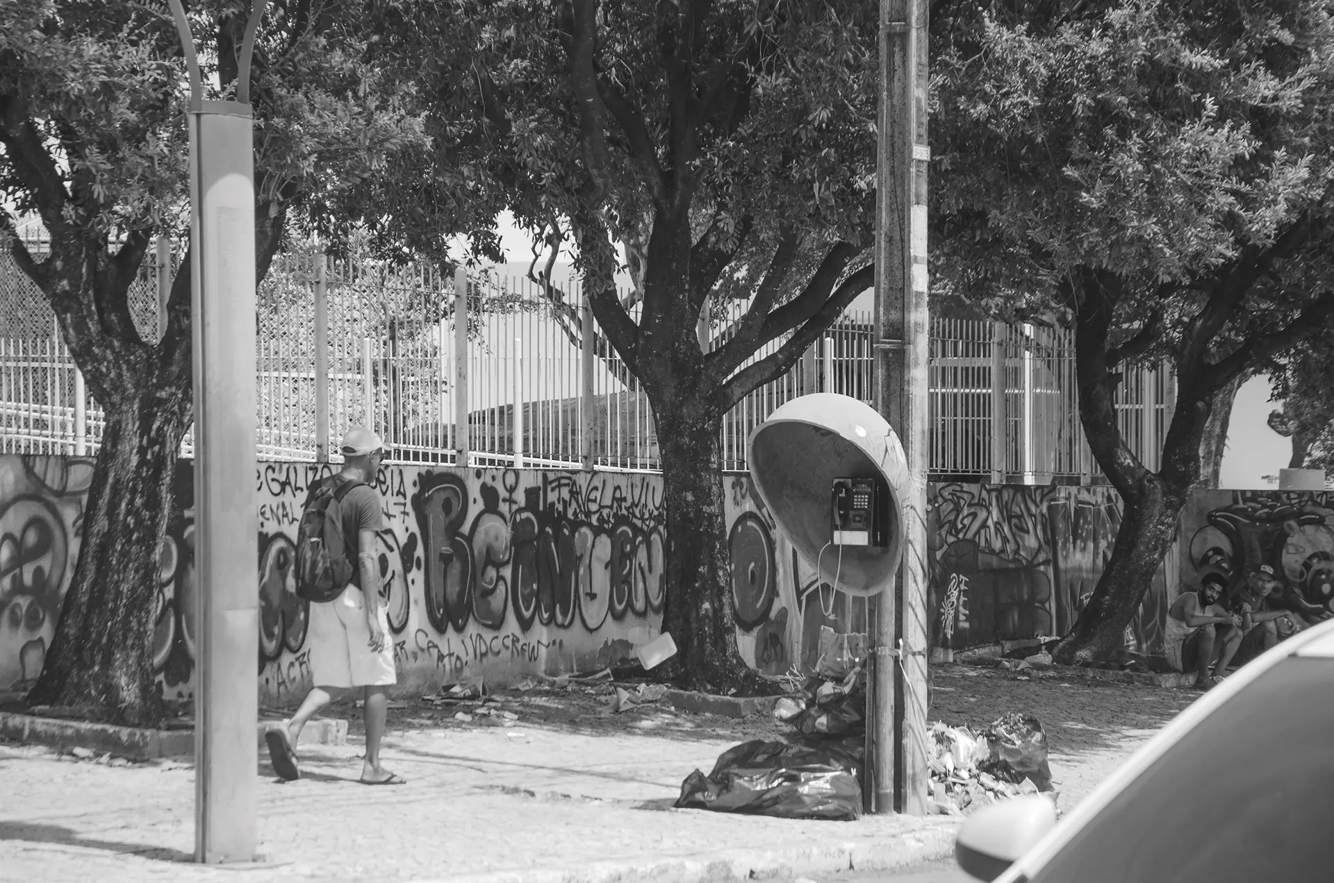 Grayscale photograph of a wall covered in graffiti behind trees on a street in downtown Fortaleza