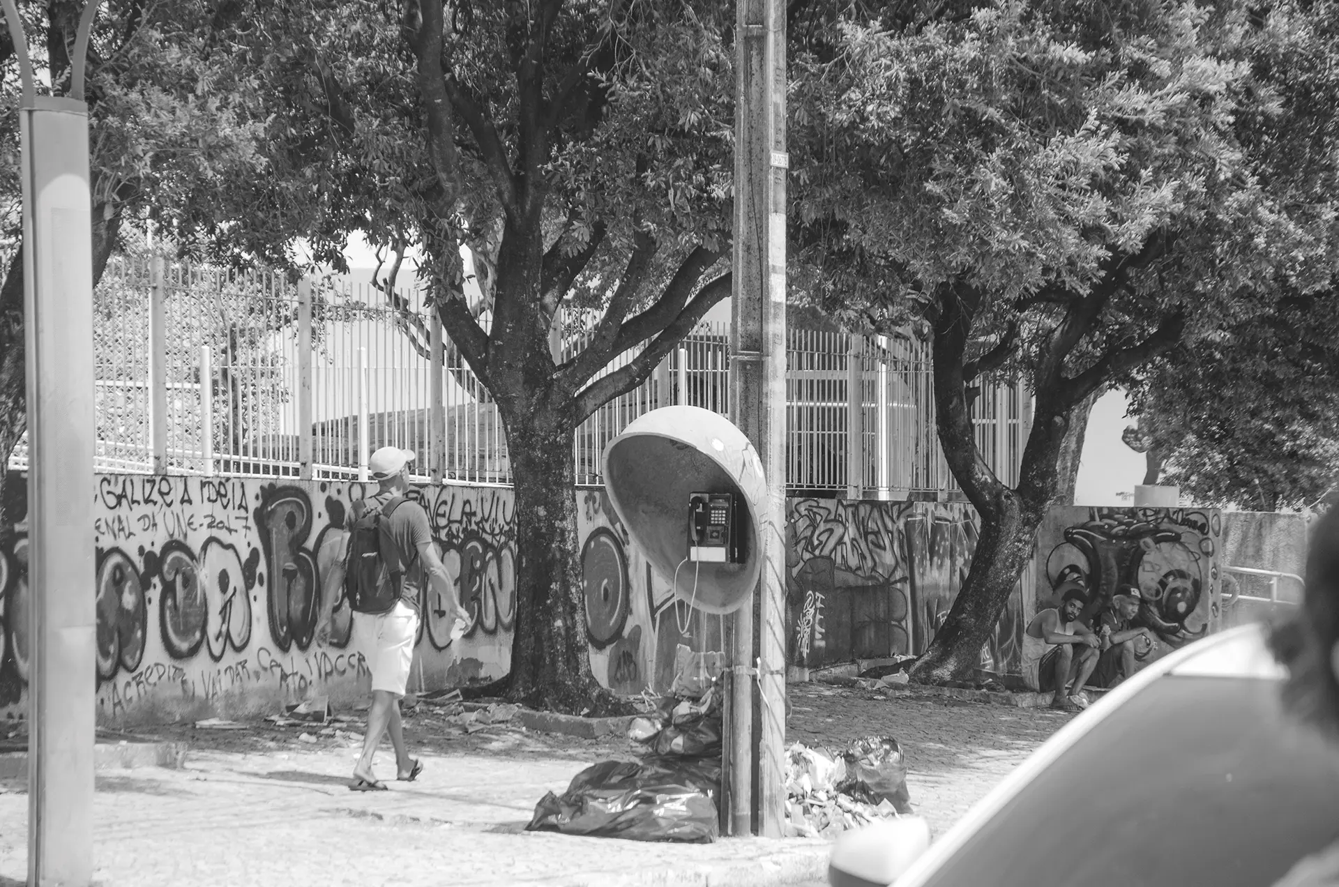Grayscale photograph of a wall covered in graffiti behind trees on a street in downtown Fortaleza