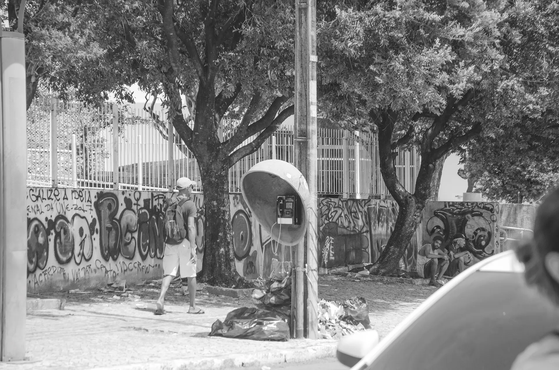 Grayscale photograph of a wall covered in graffiti behind trees on a street in downtown Fortaleza