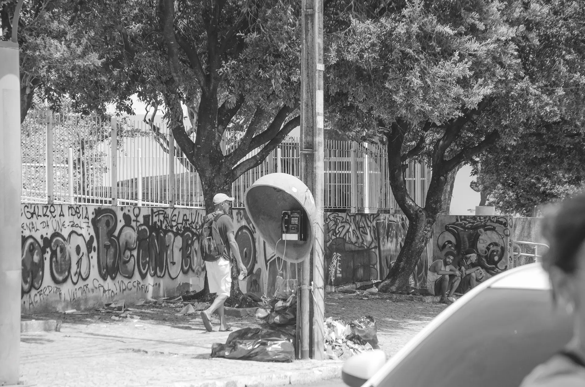 Grayscale photograph of a wall covered in graffiti behind trees on a street in downtown Fortaleza